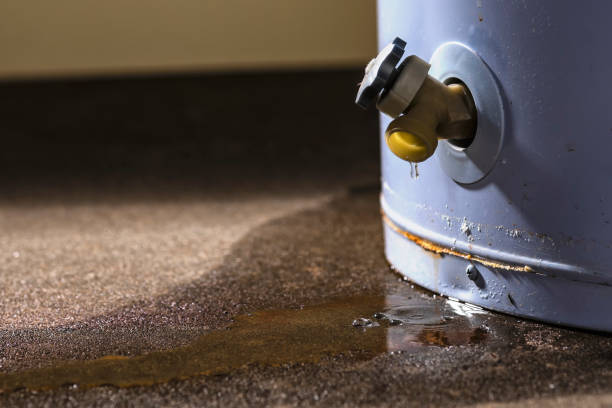 Best Flooded house restoration  in Coleman, TX