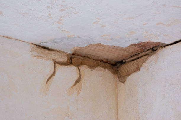 Best Flood damage cleanup  in Coleman, TX